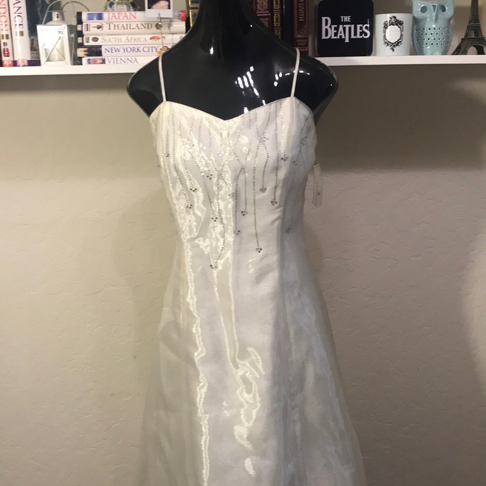 Celavie fancy dress w scarf